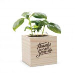 Employee Appreciation Gifts - Thanks for All You Do Plant Cube