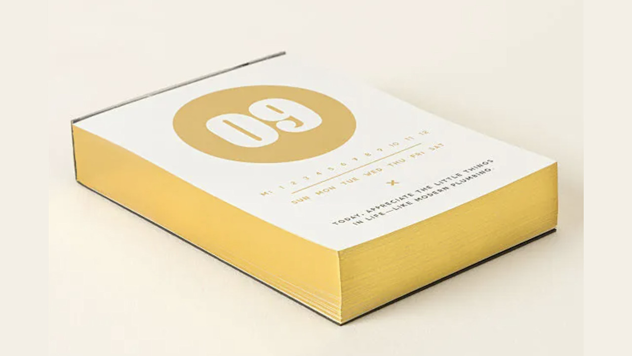 Snarky Affirmations Daily Desk Calendar for wife gift ideas