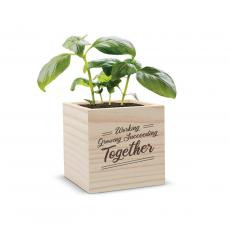 Smiling diverse employees celebrating success with a plant gift cube