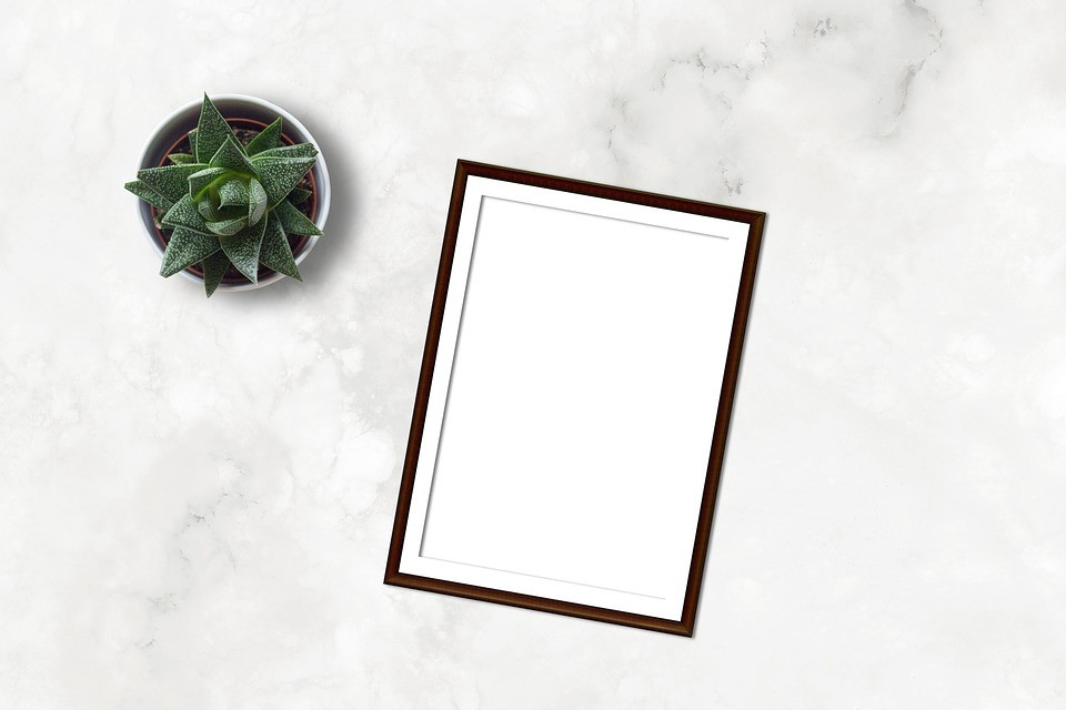 An empty photo frame flat-lay with a succulent next to it on a marble tabletop
