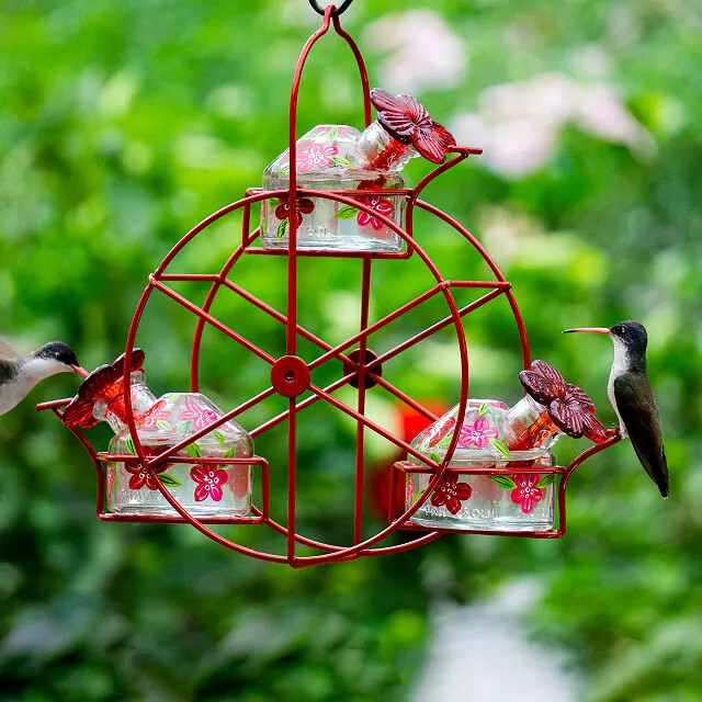 A vibrant Ferris Wheel Hummingbird Feeder, overflowing with sweet nectar, poised to welcome a flurry of hummingbirds into your garden.