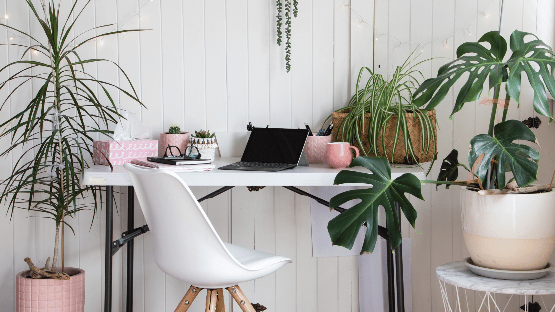 Desk with laptop, notebook, and plant, representing affordable employee gifts