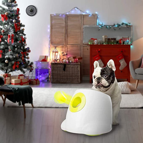 Automatic tennis ball launcher for dogs