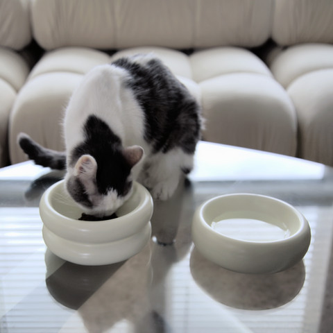Catenary Home Halo Cat Bowls in a set of two, demonstrating stylish gifts for cat owners