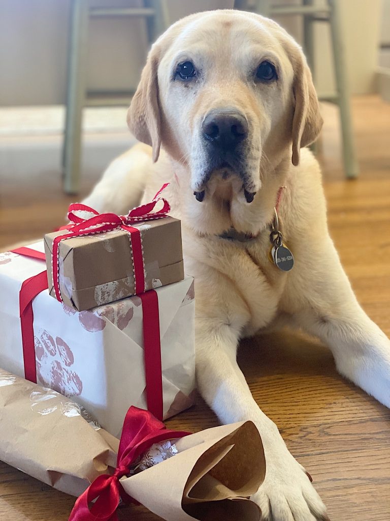 Creative Pet Gift Wrapping Ideas, featuring paw print designs and playful elements for pet-themed gift packaging.