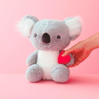 Be There When You Can’t Recordable Koala
