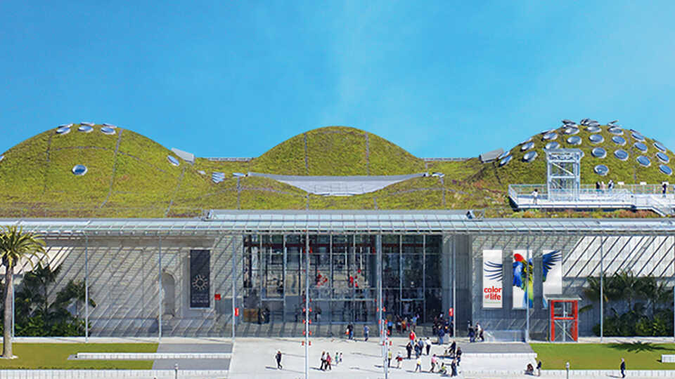 Illustration of the California Academy of Sciences Living Roof and entrance