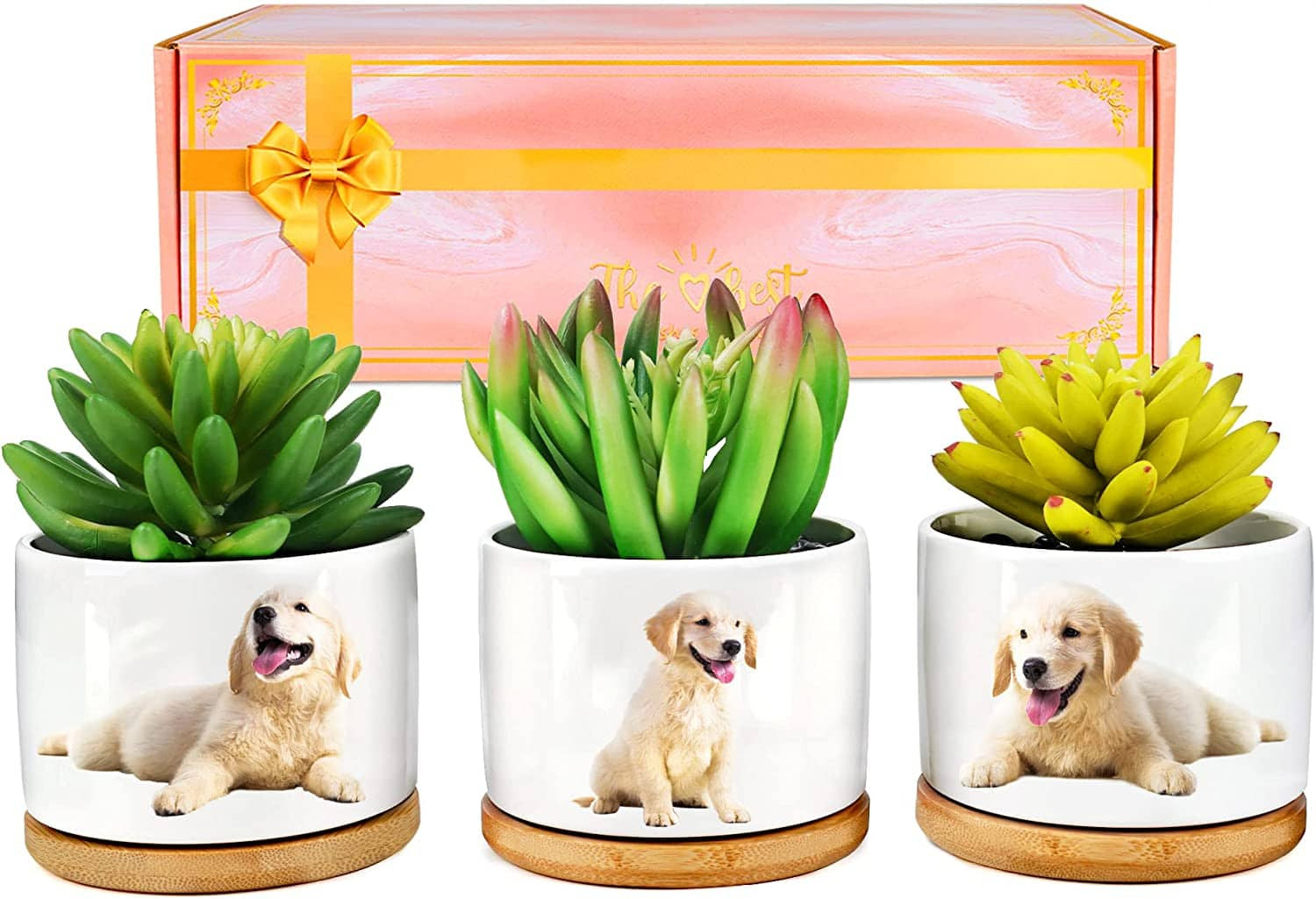 Golden Retriever Ceramic Plant Pots