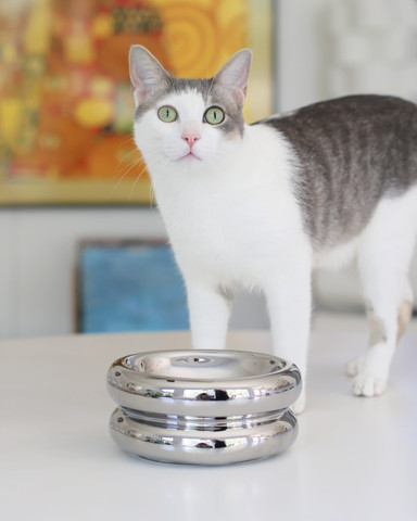 Catenary Home Chrome Elevated Cat Bowl showcasing modern gifts for cat lovers