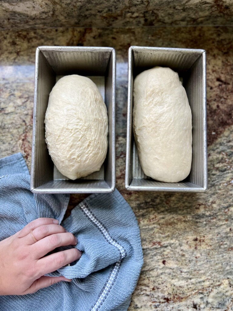 A loaf of sourdough bread baked in a USA Bakeware loaf pan, showcasing the pan's quality and the even bake it provides.