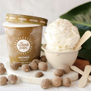 Island Pops Ice Cream &amp; Sorbet Combo, a tropical flavored Father's Day gift for husbands