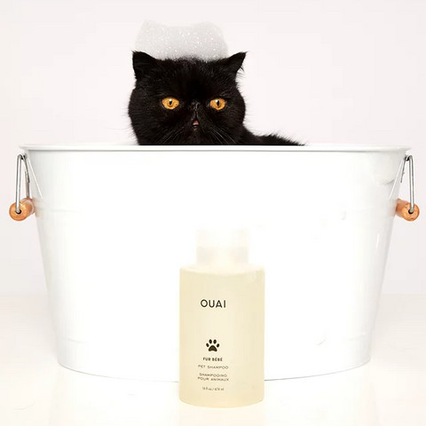 OUAI FUR BÉBÉ Pet Shampoo, a pampering gift for cat owners