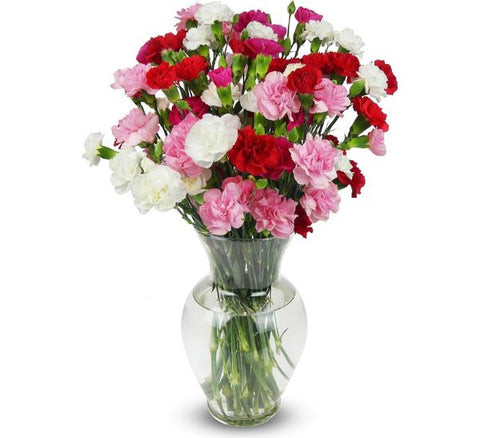Benchmark Bouquets Carnations: Rainbow carnation bouquet with vase, vibrant and fresh 4th anniversary flower gift