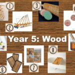 Year 5