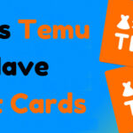 Temu's user-friendly app and website, seamless shopping experience, and enticing discounts