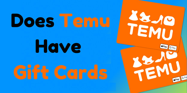 Temu's user-friendly app and website, seamless shopping experience, and enticing discounts