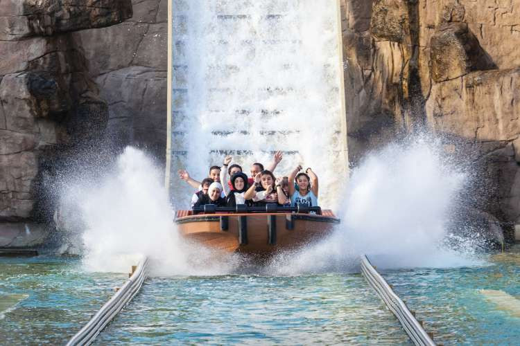 theme park 50th birthday gift idea